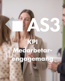 KPI Kundnöjdhet (7)